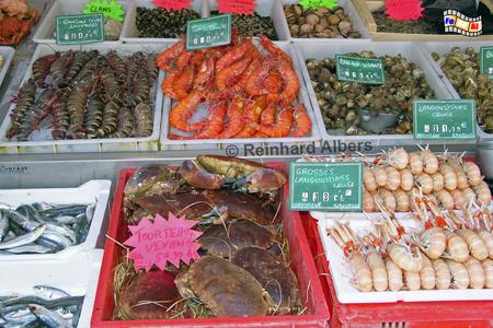 Auslagen in der Fischhalle von Trouville, Normandie, Trouville, Fisch, Auslagen, Fischhalle, Albers, foreal, Foto