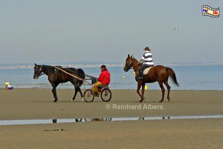 Cte Fleurie - Blumenkste.
Pferde am Strand von Cabourg., Normandie, Cabourg, Cte, Fleurie, Blumenkste, Albers, Foto, foreal, Pferde, Reiter, Strand