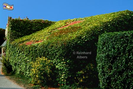 Cotentin-Halbinsel, Normandie, Halbinsel, Cotentin, Albers, Foto, foreal