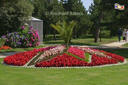 Granville - Blumen im Garten des Christian-Dior-Museums, Normandie, Granville, Christian, Dior, Museum, Geburtshaus, Park, Garten, Albers, Foto, foreal