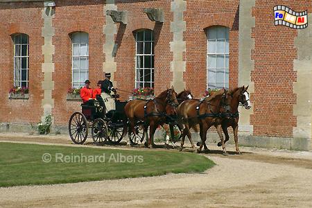 Vorfhrung auf dem staalichen Gestt Haras du Pin., Normandie, Haras, Pin, Gestt, Pferde, Foto, Albers, foreal