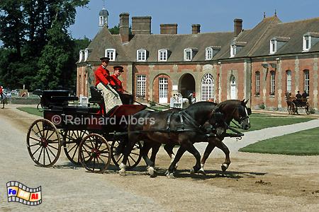 Vorf�hrung auf dem staalichen Gest�t Haras du Pin., Normandie, Haras, Pin, Gest�t, Pferde, Foto, Albers, foreal
