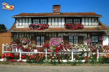 Typisches Haus im Pays d Auge, Normandie, Pays, Auge, Fachwerk, Maison, Haus, Albers, Foto, foreal,