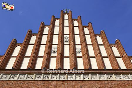 Giebel der Johannes-Kathedrale, Polen, Polska, Warschau, Warszawa, Johannes, Kathedrale, Foto, foreal, Albers,