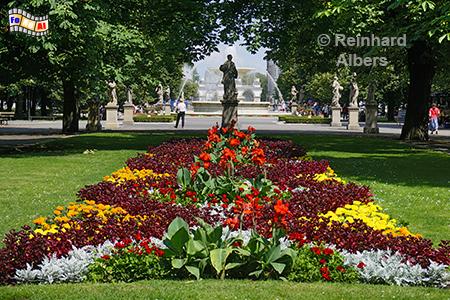 Schsischer Garten, Polen, Polska, Warschau, Warszawa, Park, Garten, Wasserfontne, Brunnen, Albers, Foto, foreal,
