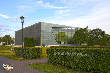 J�disches Museum, Polen, Polska, Warschau, Warszawa, Museum, Juden, Albers, Foto, foreal,