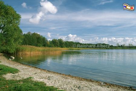 Masurische Seenplatte -  
Jezioro Mamry (Mauersee), Polen, Polska, Masuren, Mazury, Ermland, Warmia, Jezioro, Seen Seenplatte, Mauersee, Albers, Foto, foreal