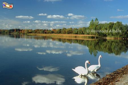 Masurische Seenplatte - 
Jezioro Święcajty (Schwentzaitsee) , Polen, Polska, Masuren, Mazury, Ermland, Warmia, Jezioro, Seen Seenplatte, Schwentzaitsee, Albers, Foto, foreal
