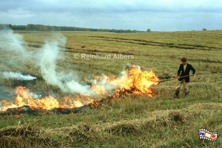 Masuren im Herbst - Abbrennen der stoppelfelder, Polen, Polska, Masuren, Mazury, Albers, Foto, foreal