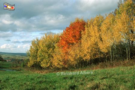 Herbst in Masuren, Polen, Polska, Masuren, Mazury, Albers, Foto, foreal