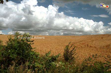 Landschaft in Masuren, Polen, Polska, Masuren, Mazury, Albers, Foto, foreal