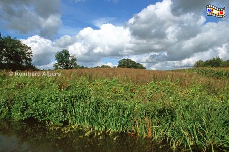 Landschaft beim Oberlandkanal, Polen, Polska, Oberland, Kanal, Albers, Foto, foreal,