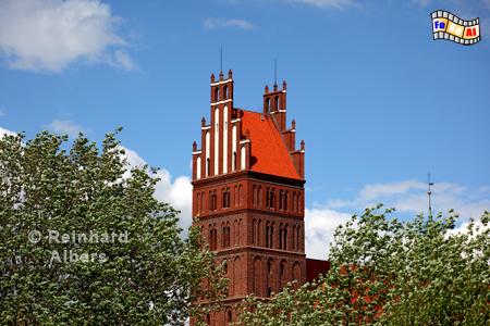 Domkapitelkirche in Dobre Miasto (Guttstadt). Der im 19. Jh. aufgestockte Turm hat eine Hhe von 49m., Polen, Dobre Miasto, Guttstadt, Ermland, Albers, Foto, foreal, Domkapitelkirche,