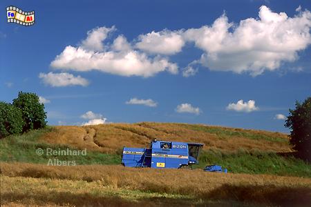 Masuren Landschaft, Polen, Polska, Masuren, Mazury, Albers, Foto, foreal
