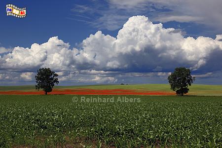 Landschaft bei Katy (Kanthen), Polen, Polska, Katy, Kanthen, Landschaft, Albers, foreal, Foto,
