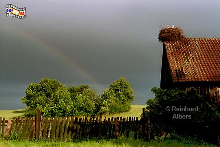 Scheune mit Strchen in Rybical (Ribenzahl)., Polen, Masuren, Polska, Mazury, Rybical, Rbezahl, Idylle, Albers, Foto, foreal