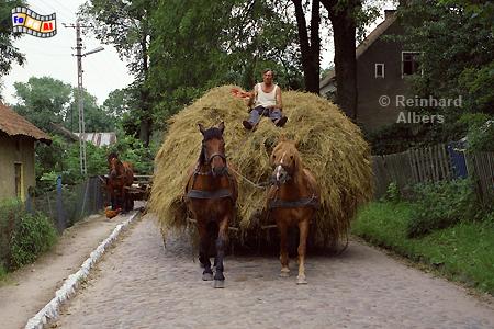 Rybical (Ribenzahl) - Dorfidylle., Polen, Masuren, Polska, Mazury, Rybical, Ribenzahl, Idylle, Albers, Foto, foreal