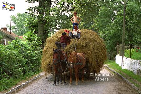 Pferdefuhrwerk in Rybical (Ribenzahl), Polen, Masuren, Polska, Mazury, Rybical, Ribenzahl, Pferdefuhrwerk, Idylle, Albers, Foto, foreal