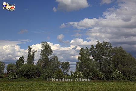 Landschaft im Marienburger Werder im frheren Westpreuen., Polen, Werder, Marienburg, Albers, foreal, Foto,