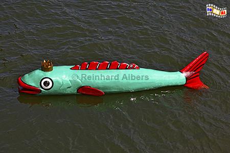 Mikolajki (Nikolaiken) -Königlicher Fisch (Stinthengst), Polen, Masuren, Mikolajki, Nikolaiken, Albers, Foto, foreal,