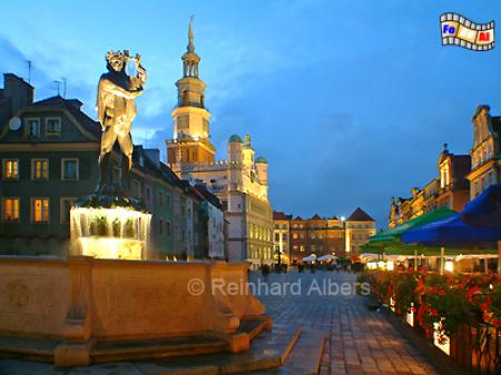 Poznań (Posen) - Marktplatz (Ring) mit Apollon-Brunnnen im Vordergrund und Rathaus im Hintergrund., Polen, Polska, Posen, Poznań, foreal, Stary Rynek, Rathaus, Foto, Albers 
