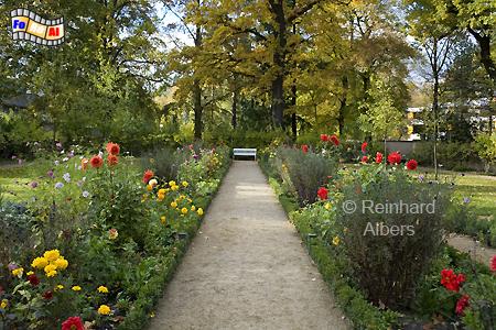 Garten der Liebermann-Villa, Berlin, Wannsee, Liebermann, Villa, Albers, Foto, foreal