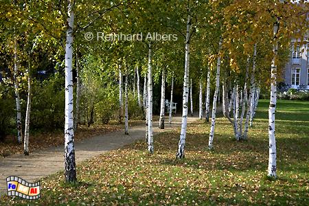 Garten/Park der Liebermann-Villa am Wannsee, Berlin, Wannsee, Liebermann, Villa, Albers, Foto, foreal