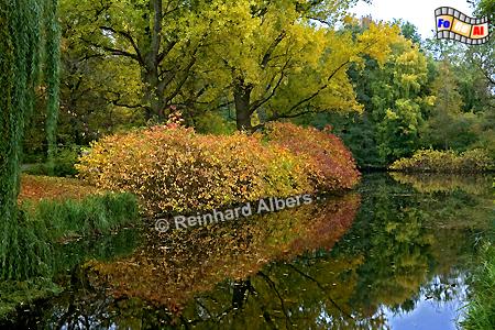 Herbststimmung im Tiergarten, Berlin, Herbst, Tiergarten, Albers, Foto, foreal