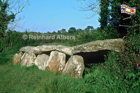 All�e couverte, Bretagne, All�e, couverte, Kerguntuil, Albers, Foto, foreal,