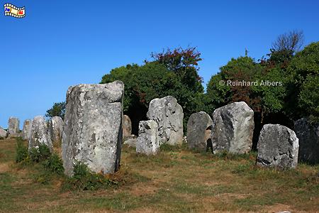 Alignements de Kerzerho bei Erdeven, Frankreich, Bretagne, Erdeven, Menhir, Hinkelstein, Alignement, Kerzerho, Albers, Foto, foreal,