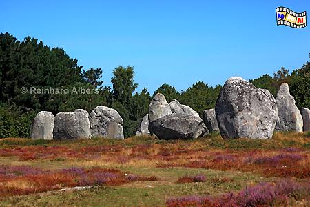 Alignements du Mnec bei Carnac, Frankreich, Bretagne, Erdeven, Menhir, Hinkelstein, Carnac, Mnec, Alignement, Albers, Foto, foreal,