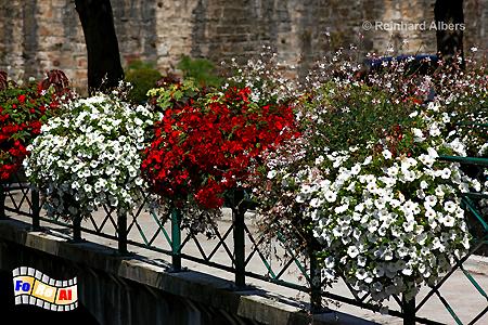 Quimper - Blumenschmuck, Frankreich, Bretagne, Quimper, Odet, Blumen, Albers, Foto, foreal,
