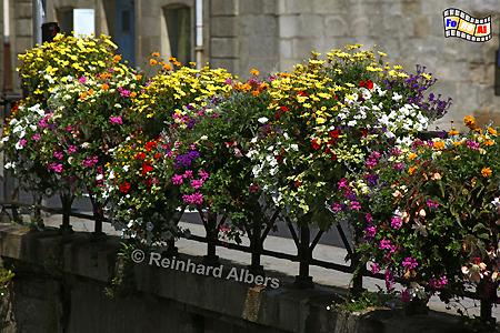 Quimper - Blumenschmuck., Frankreich, Bretagne, Quimper, Odet, Blumen, Albers, Foto, foreal,