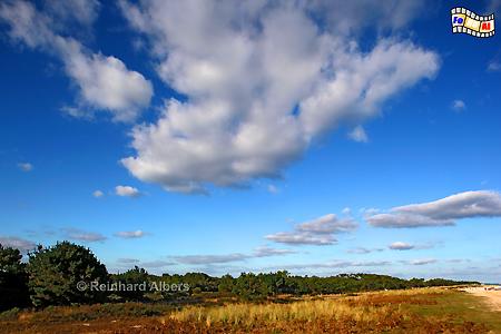 Marais de Mousterlin bei Fouesnant, Frankreich, Bretagne, Mousterlin, Fouesnant, Albers, Foto, foreal,