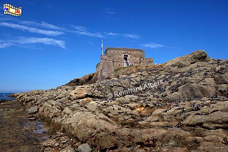 �le Petit B� vor Saint-Malo mit einem 1693 nach Pl�nen von Vauban erbauten Fort., Frankreich, Bretagne, Saint-Malo, Albers, Vauban, Petit B�, Foto, foreal,