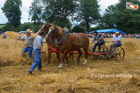 Sizun: Ernte anno dazumal, Bretagne, Sizun, Ernte, anno dazumal, Monts, Arr�e, Albers, Foto, foreal,