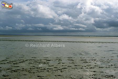 Watt beim Mont Saint-Michel, Normandie, Frankreich, Mont, Saint-Michel, Albers, Foto, foreal, Watt,