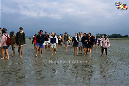 Wattwanderung durch die Bucht am Mont Saint-Michel, Normandie, Frankreich, Mont, Saint-Michel, Klosterberg, Abbaye, Albers, Foto, foreal, Watt, Wanderung,