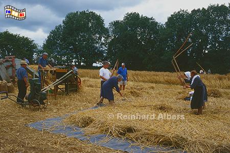 Sizun: Ernte anno dazumal, Bretagne, Sizun, Ernte, anno dazumal, Monts, Arre, Albers, Foto, foreal,