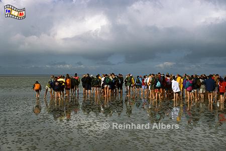 Wattwanderung durch die Bucht am Mont Saint-Michel, Normandie, Frankreich, Mont, Saint-Michel, Klosterberg, Abbaye, Albers, Foto, foreal, Watt, Wanderung,