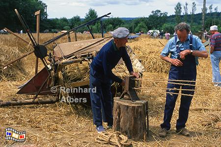 Sizun: Ernte anno dazumal, Bretagne, Sizun, Ernte, anno dazumal, Monts, Arr�e, Albers, Foto, foreal,