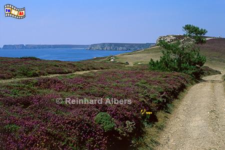 Pointe de Dinan, Frankreich, Bretagne, Pointe de Dinan, Crozon, Felsen, Bucht, Albers, Foto, foreal,
