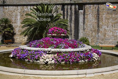 Saint-Malo, Blumenbrunnen beim Schloss, Frankreich, Bretagne, Saint-Malo, Schloss, chteau, Blumen, Albers, Foto, foreal,