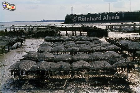 Austernb�nke in Cancale, Bretagne, Cancale, Austern, Albers, GFoto, foreal,