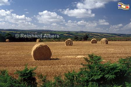 Knick- und Hgellandschaft in den Monts d'Arre, Bretagne, Mont, Arre, Knicks, Landschaft, Albers, foto, foreal,