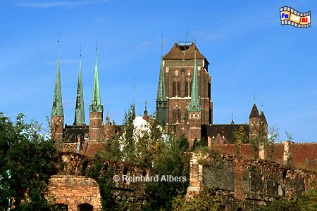 Gdańsk (Danzig) - Kościl Mariacki. Mit einer Lnge von 105m und einer Breite von 66 m im Querschiff ist die Marienkirche die grte Backsteinkirche der Welt. , Polen, Danzig, Gdańsk, Rechtstadt, Marienkirche, Kościl, Mariacki. Albers, Foto, foreal