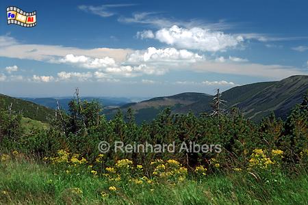 Riesengebirge, Polska, Polen, Schlesien, foreal, Albers, Riesengebirge,