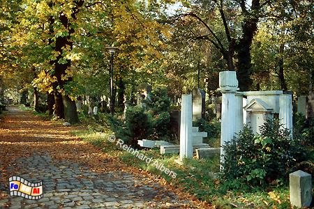 Wrocław (Breslau) - Der jdische Friedhof wurde durch die Nazis weitgehend zerstrt., Polen, Polska, Breslau, Wroclaw, Niederschlesien, foreal, Albers, foto, jdischer Friedhof
