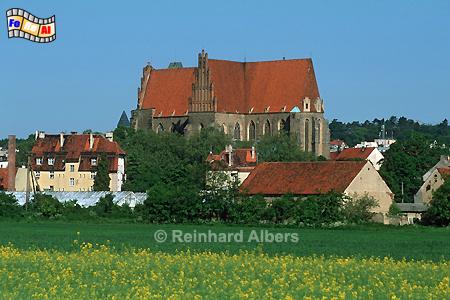Strzegom (Striegau) - Pfarrkirche St. Peter und Paul., Polska, Polen, Schlesien, foreal, Albers, Striegau, Strzegom