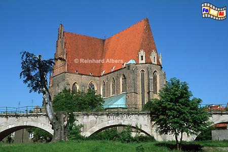 Strzegom (Striegau) - Pfarrkirche St. Peter und Paul, Polska, Polen, Schlesien, foreal, Albers, Striegau, Strzegom
